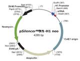 pSilencer 3.1-H1 neo载体图谱,序列,价格,抗性,大小详细信息